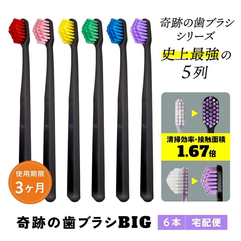 Conjunto de 6 escovas de dentes Miracle BIG – Fabricado no JAPÃO