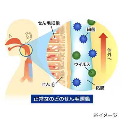 ريوكاكوسان دايركت ستيك - بنكهة الخوخ - 16 عبوة