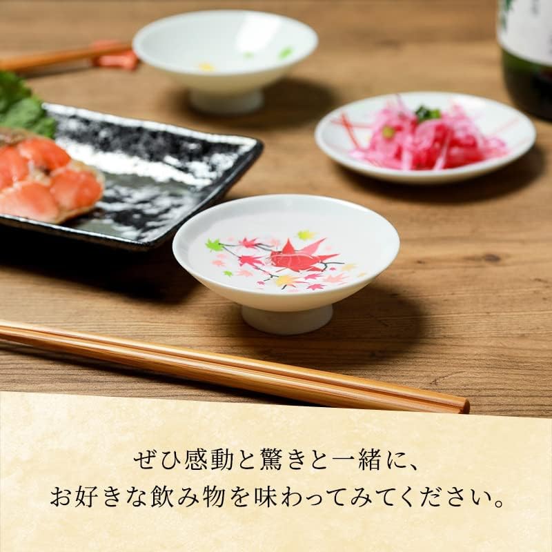 Marumo Takagi Pottery – Hira-zara Cold Sensation Japanese Four Seasons Set – 4 Pieces