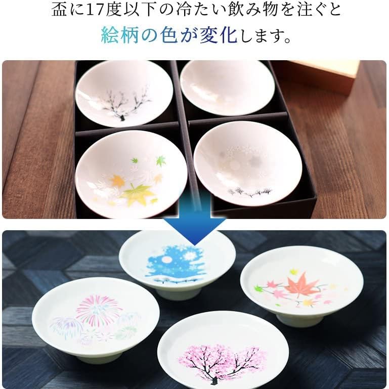 Marumo Takagi Pottery – Hira-zara Cold Sensation Japanese Four Seasons Set – 4 Pieces