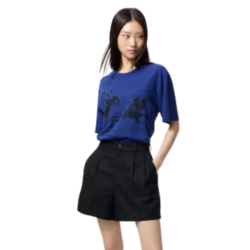 UNIQLO - ONE PIECE UT Graphic T-Shirt | Lucci and Zorro (BLUE)