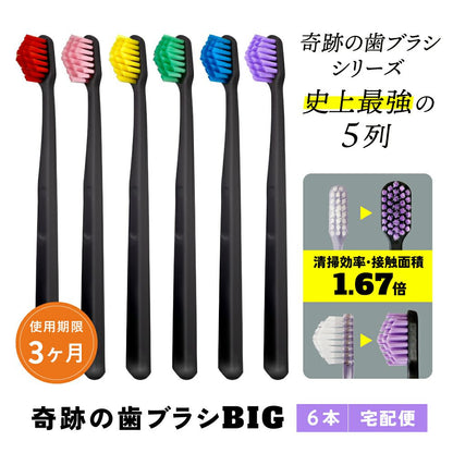 Conjunto de 6 escovas de dentes Miracle BIG – Fabricado no JAPÃO