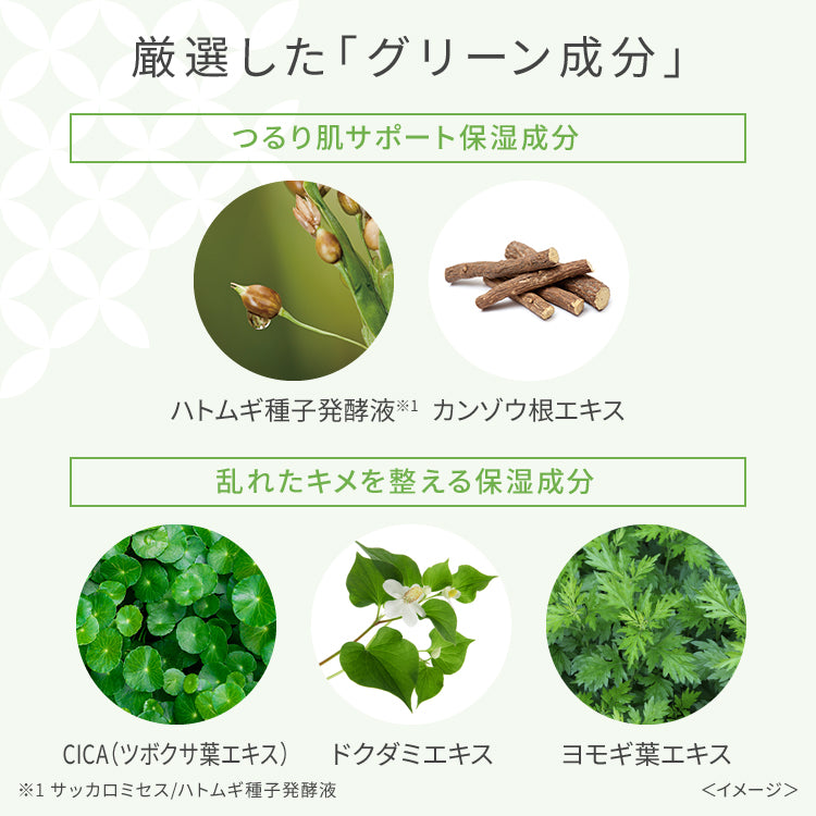 Wafood Made Uji Matcha Pack – 170g