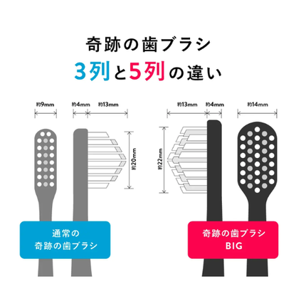 Conjunto de 6 escovas de dentes Miracle BIG – Fabricado no JAPÃO